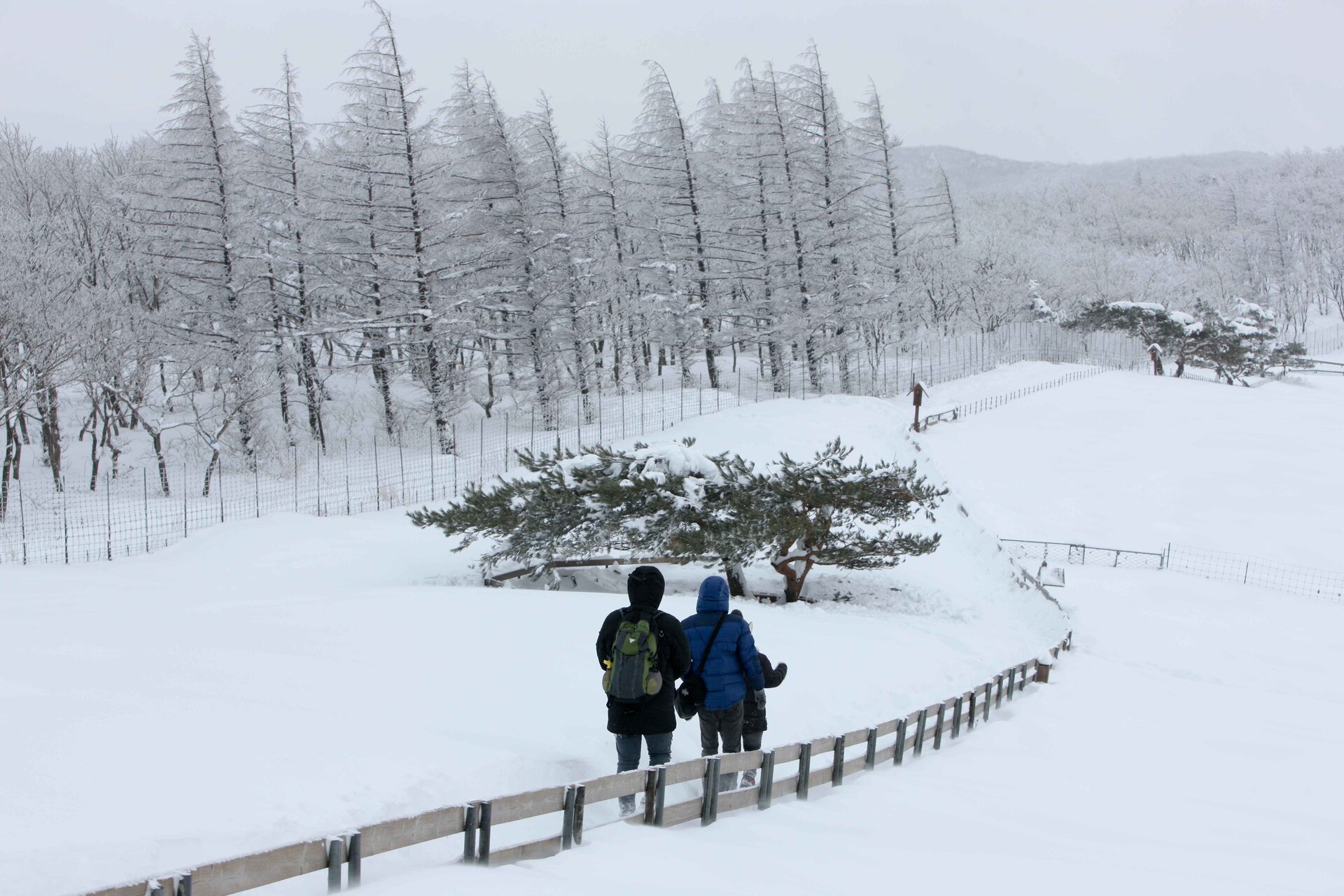 Pyeongchang